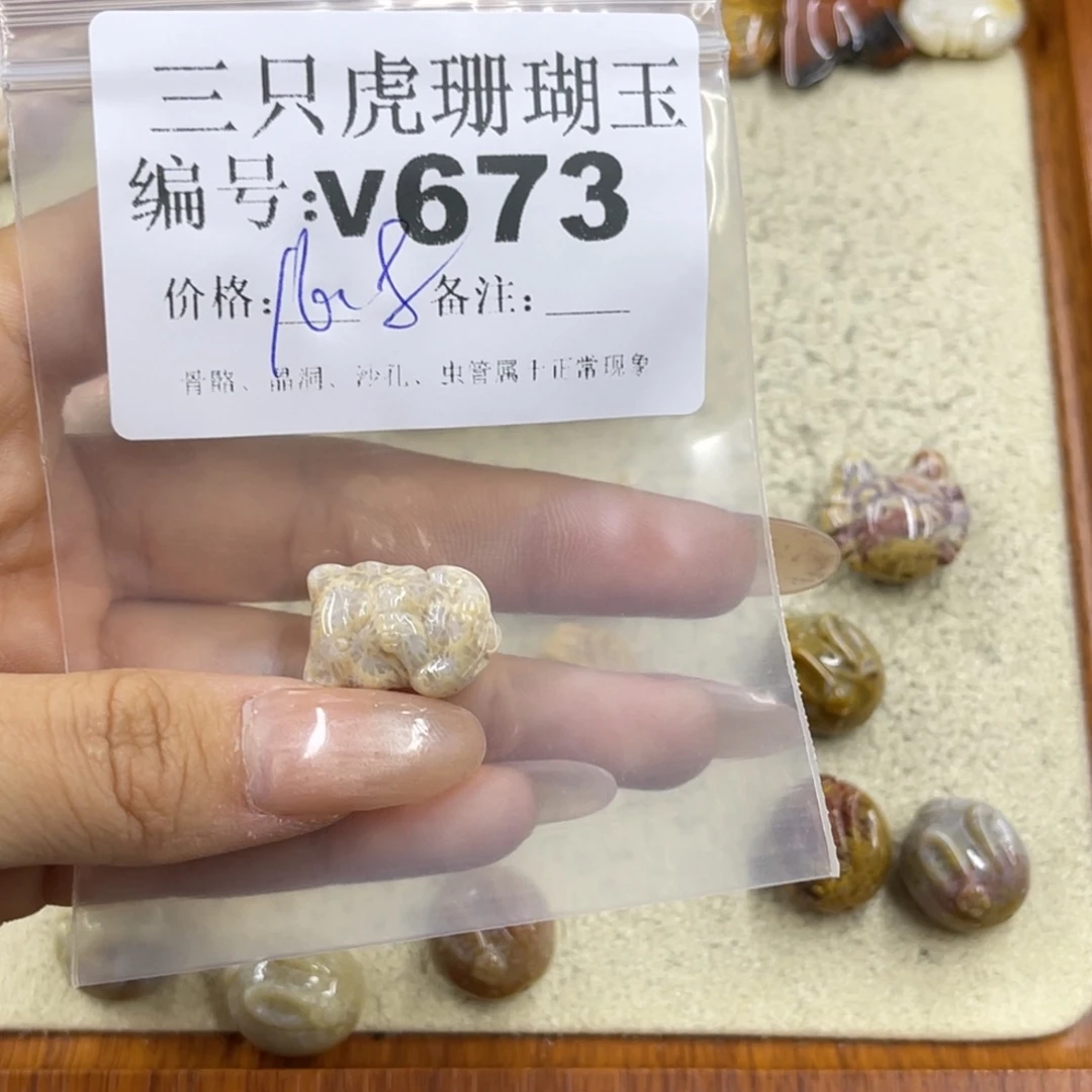 哈***啊硅化珊瑚(珊瑚玉)未镶嵌h