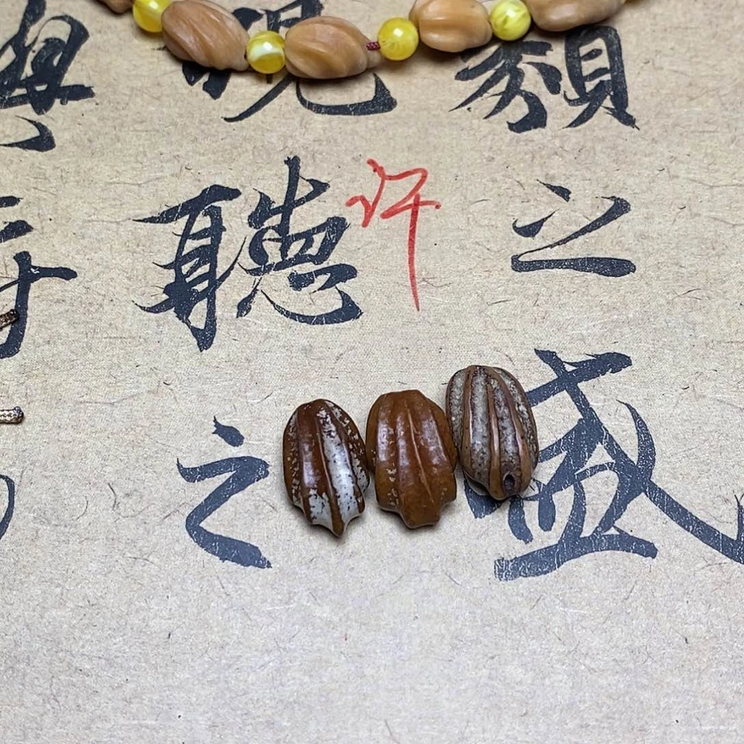 菩提根/象牙果把件j***j龙脊菩提原籽