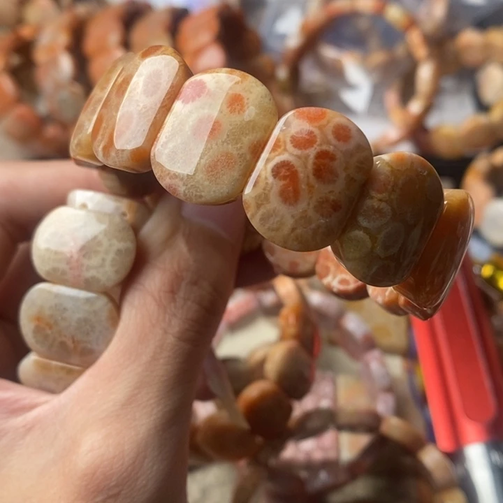 0***颈饰未镶嵌硅化珊瑚（珊瑚玉）