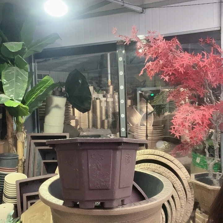 梅花照眼 依然旧风味