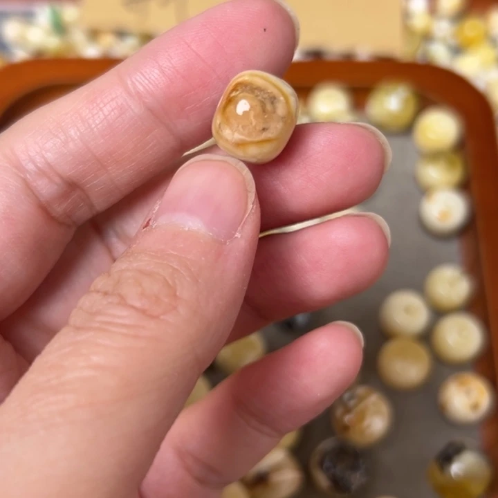 蜜蜡未镶嵌裸石12mm一个