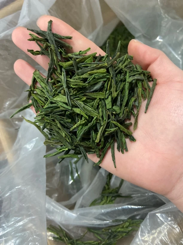 2025新茶4.14筛选片花果香土树种六安瓜片核心产区