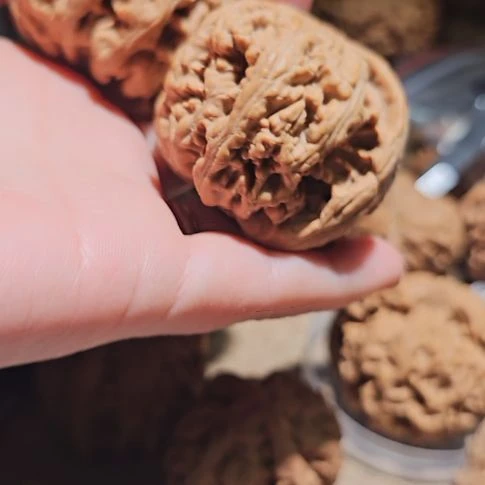蜡****文玩核桃吊坠48粗筋
