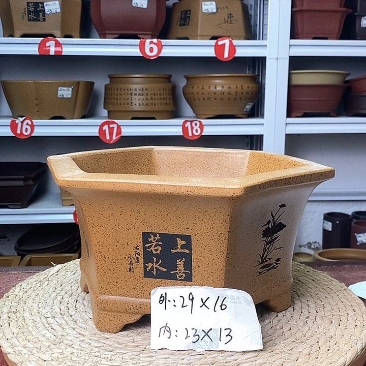 紫砂花盆今天晚上