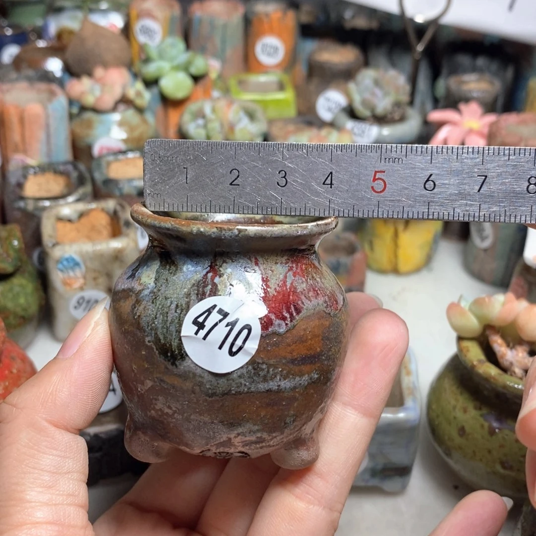 拍5送一个小礼物