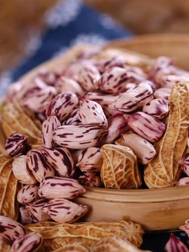 云南自然晒干带壳七彩花生云南特产软糯香甜营养健康养胃小零食