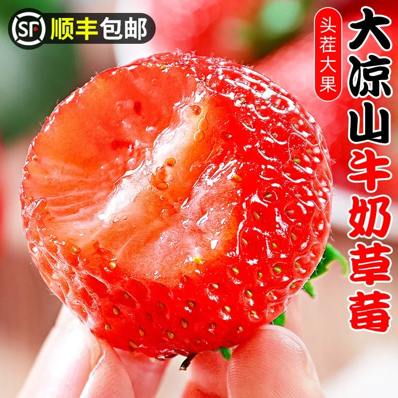 【顺丰发货】大凉山露天种植牛奶新鲜现摘现发应季水果孕妇可食