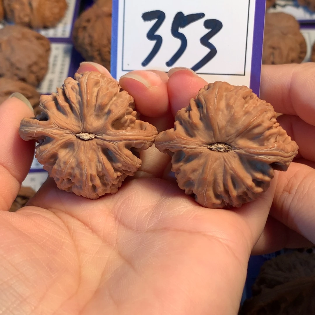 把件文玩核桃353白狮子4.1