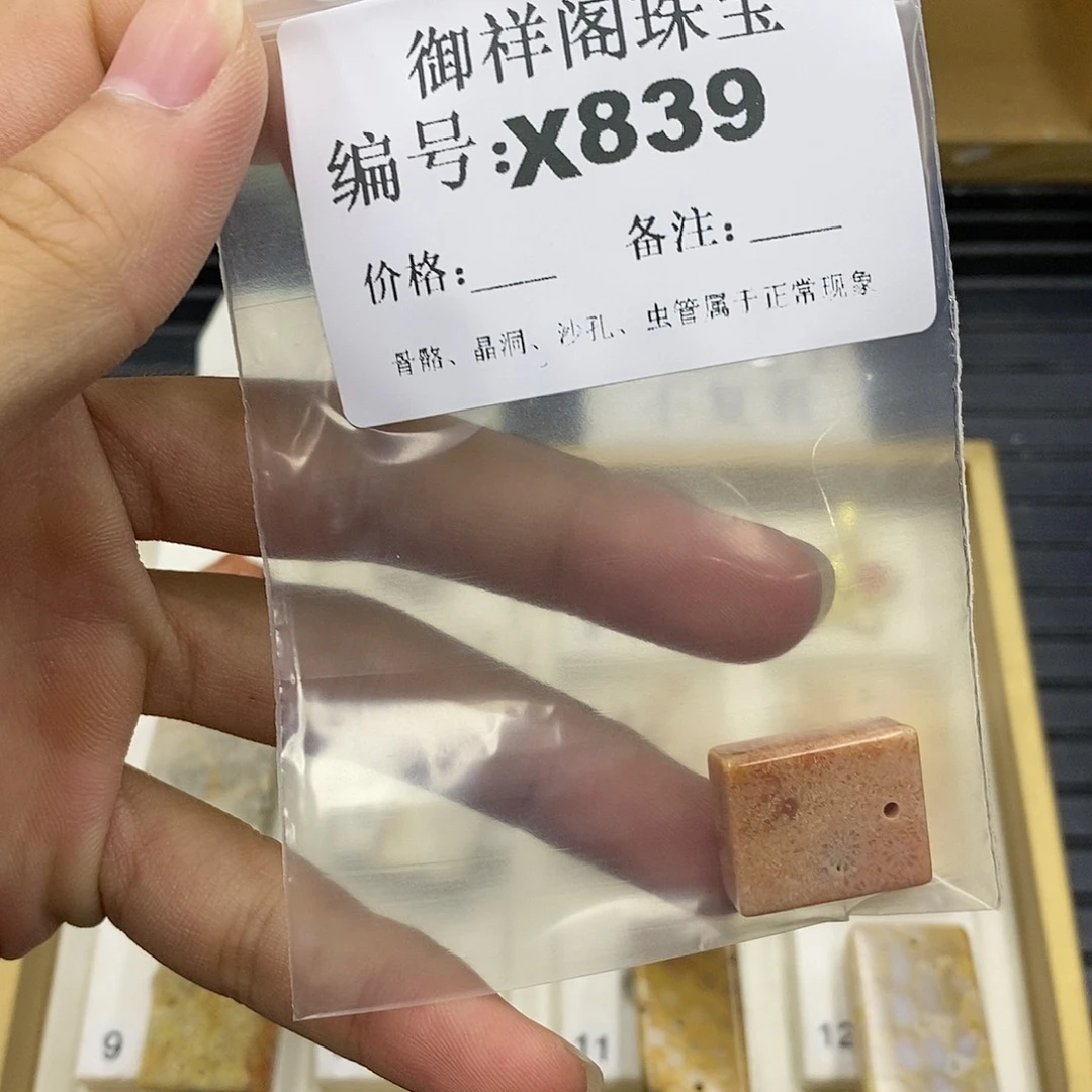 硅化珊瑚（珊瑚玉）未镶嵌颈饰高****本