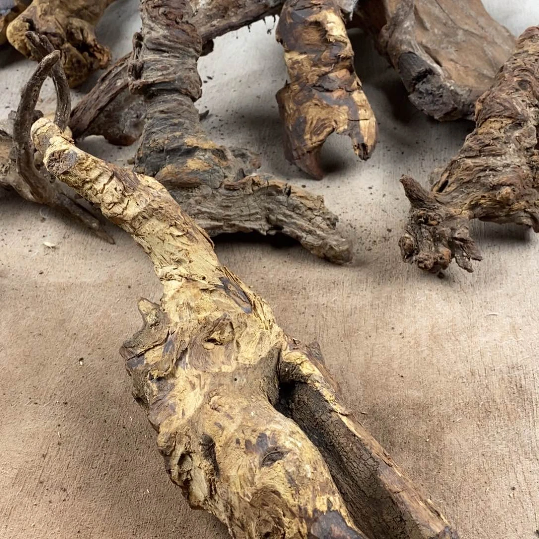 黄***岸黄花梨/降香黄檀降香黄檀黄花梨