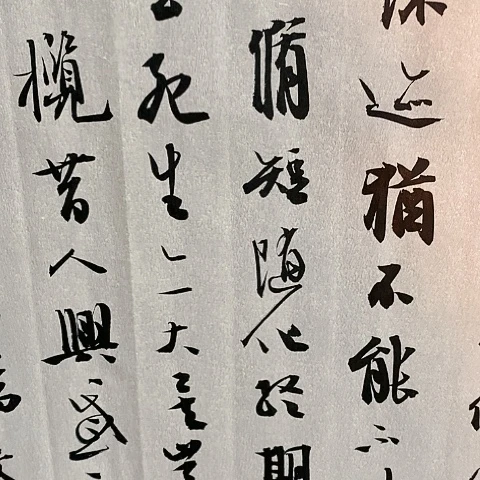 【闪购商品】国画墨**?四尺对开兰亭作品