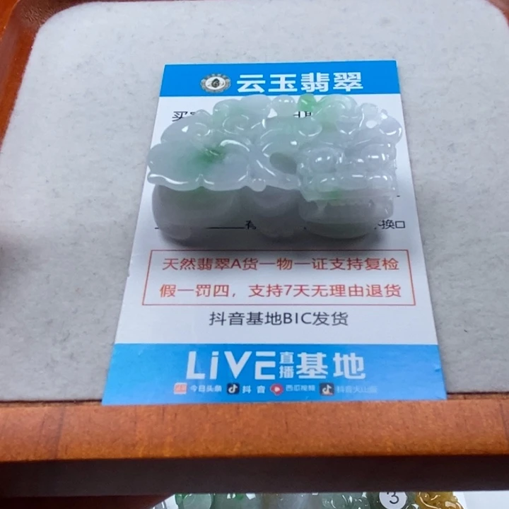 翡翠未镶嵌颈饰多人霸王貔貅