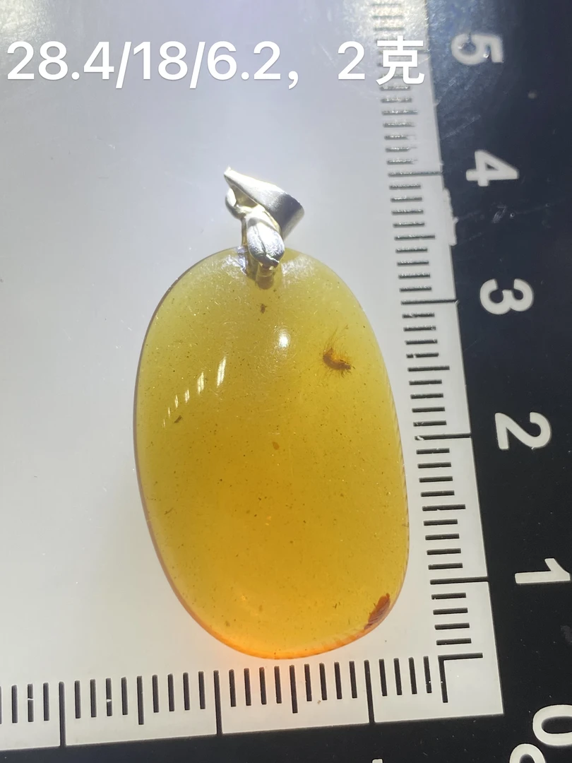 天然缅甸琥珀～毛毛虫与叶蝉吊坠