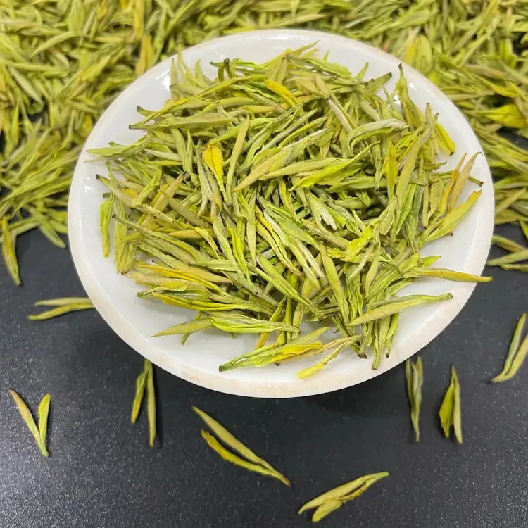 2025年安吉黄溪茶场【奶香黄金芽u950】开园头采 肥壮芽头