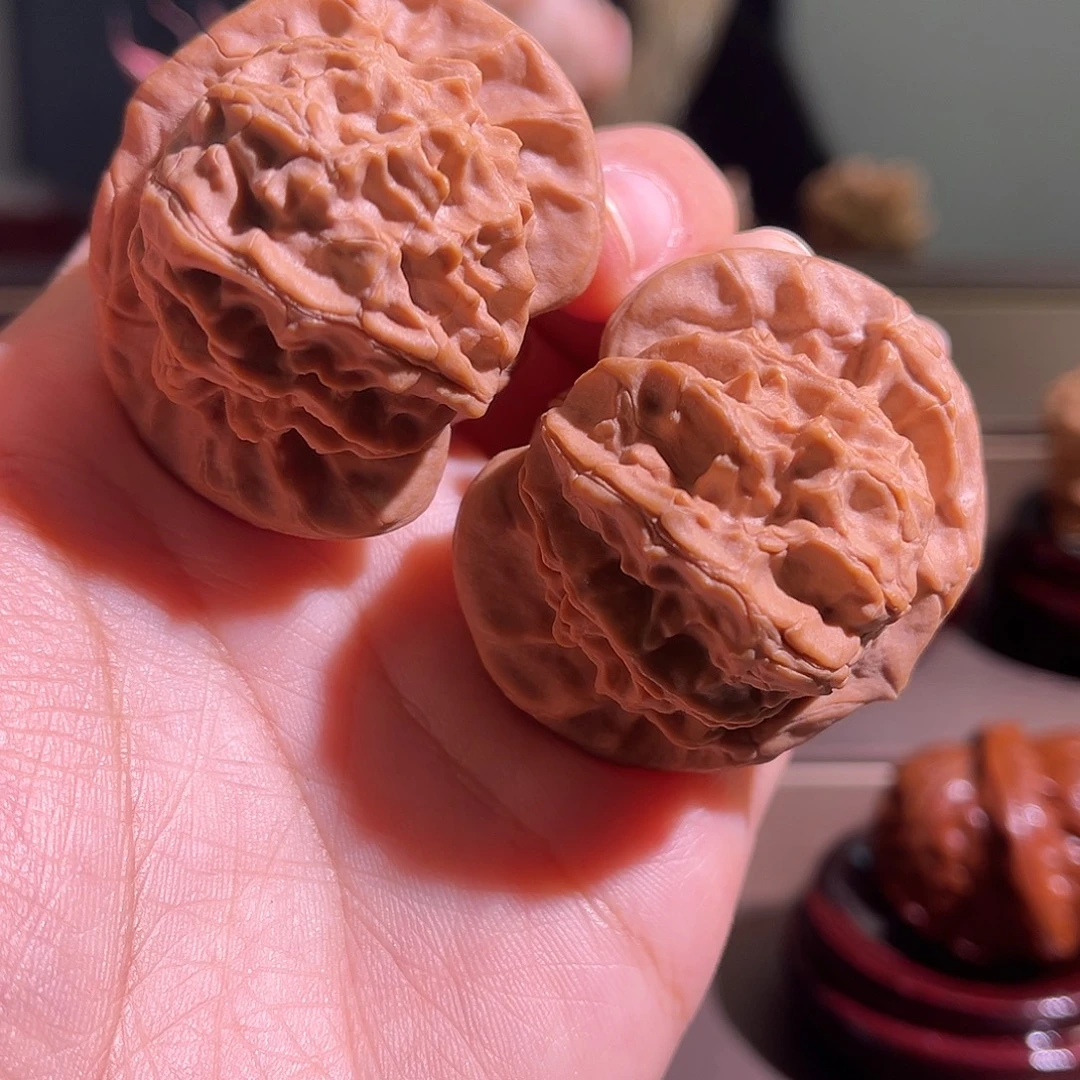 核桃图图全品45尺寸