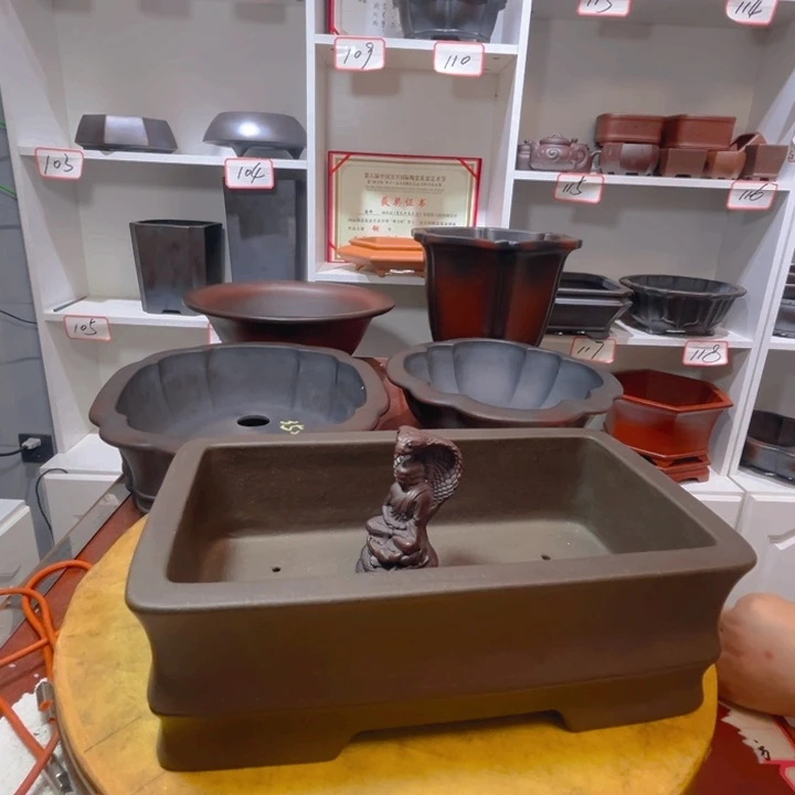 紫砂花盆⁰****木11111111111111