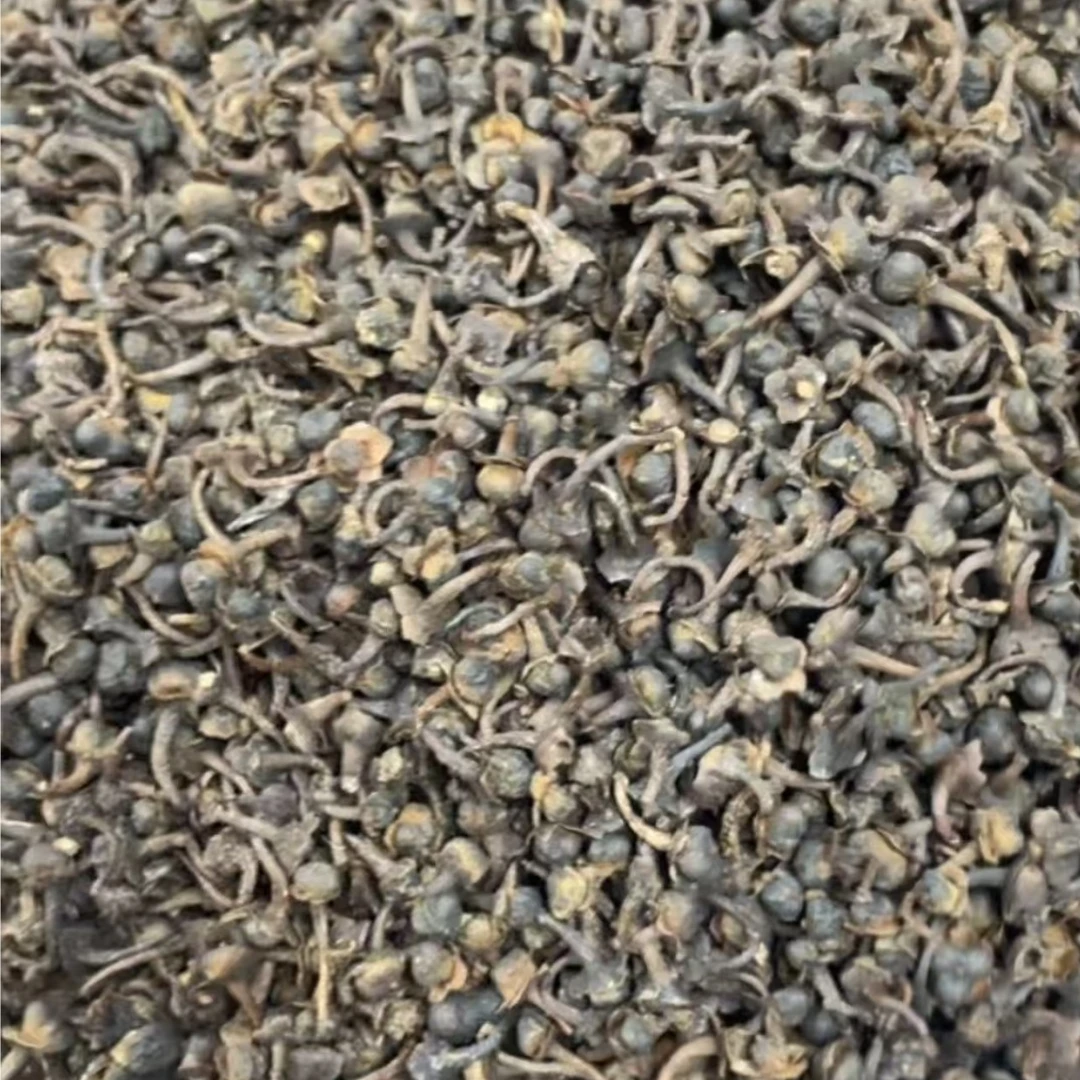 沉瑞香福鼎白茶2025年 白茶籽 群体种菜茶茶籽