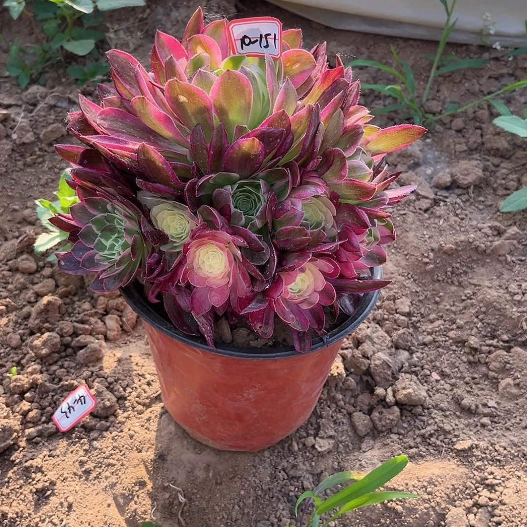 10-151海王地理满20包邮