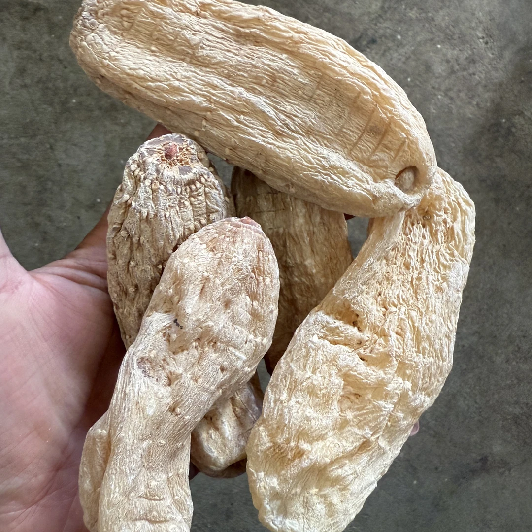 【现收】农家特产干货食用农产品—大红芽天麻—2——
