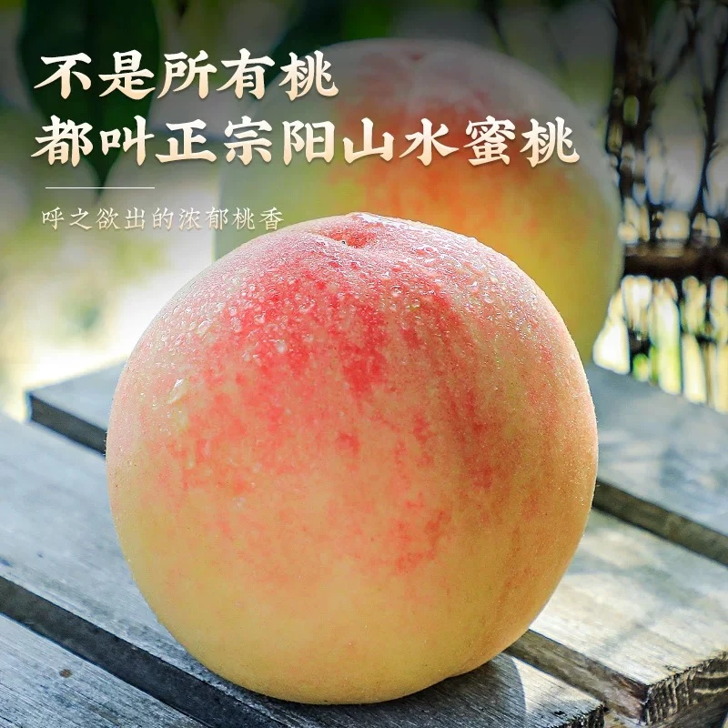 【鱼妈】正宗阳山水蜜桃-无锡【5两-6两】一盒8个 【桃园发货】