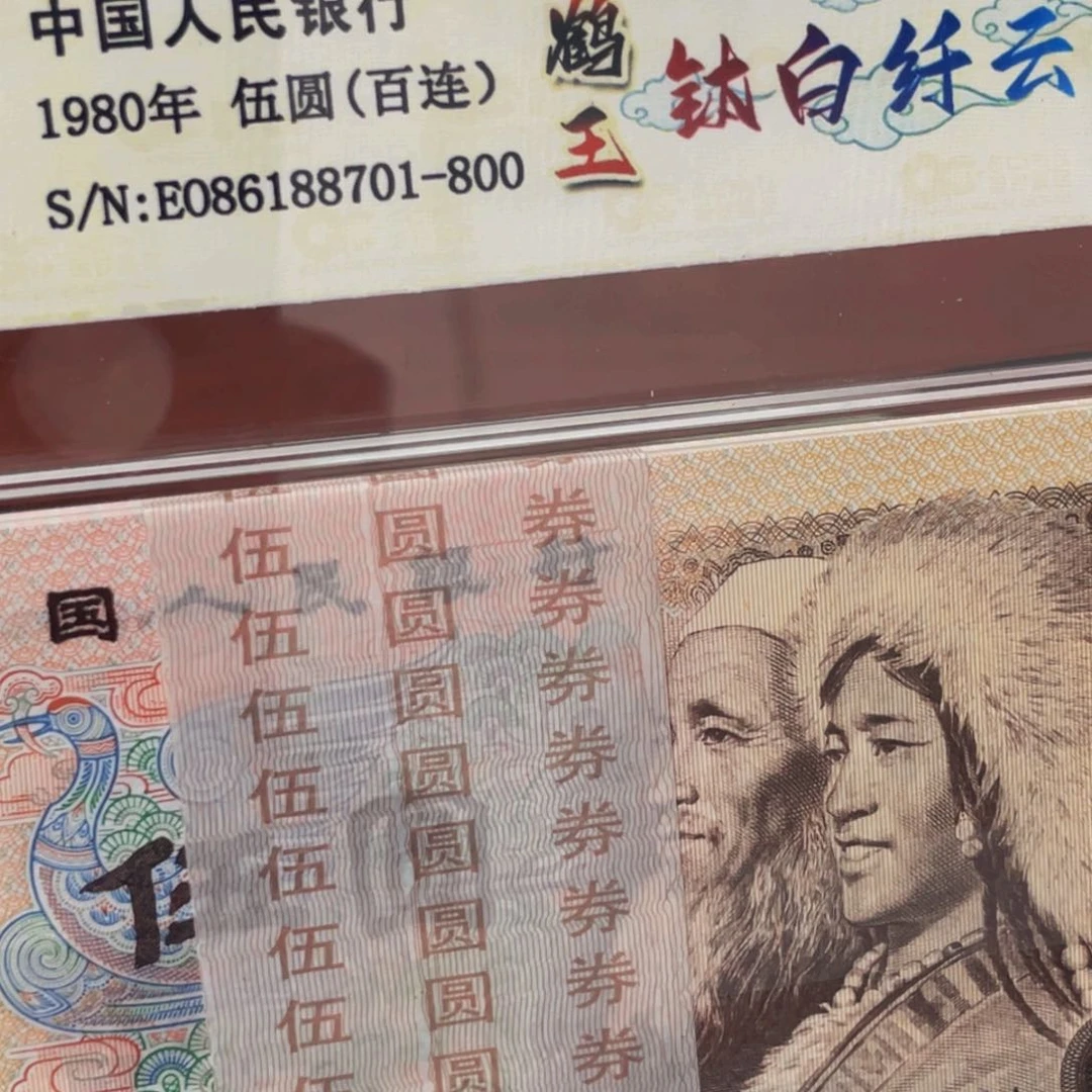 805荧光币一刀尾号86188701
