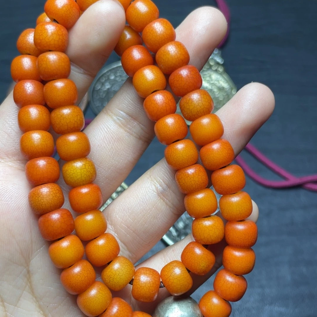 菩提根哈哈哈哈哈