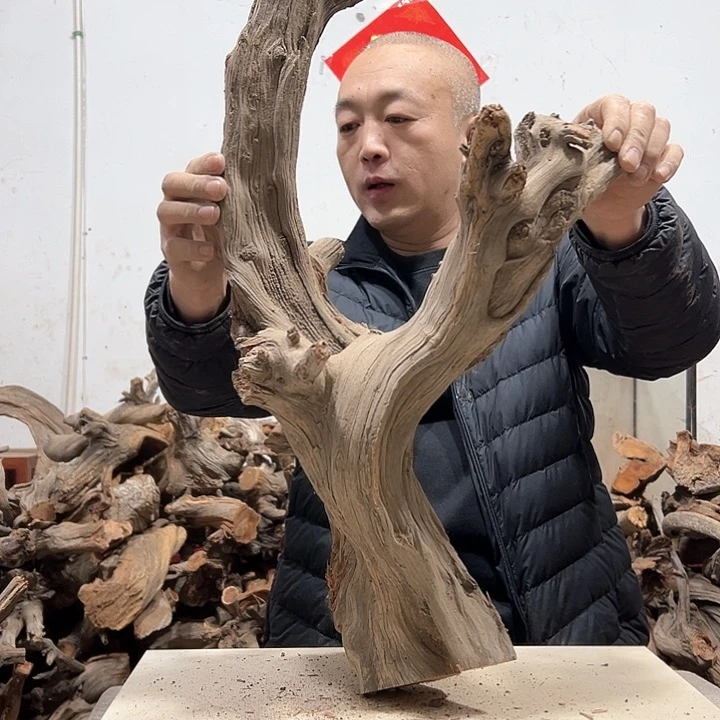 柏木闻**来我们的生活也是如此