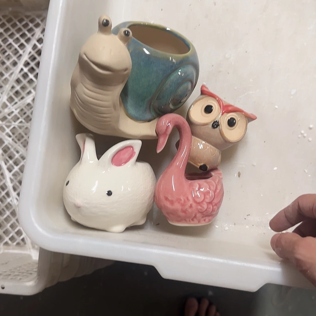 4个福利局绿植多肉盆［凑9元包邮24小时发］