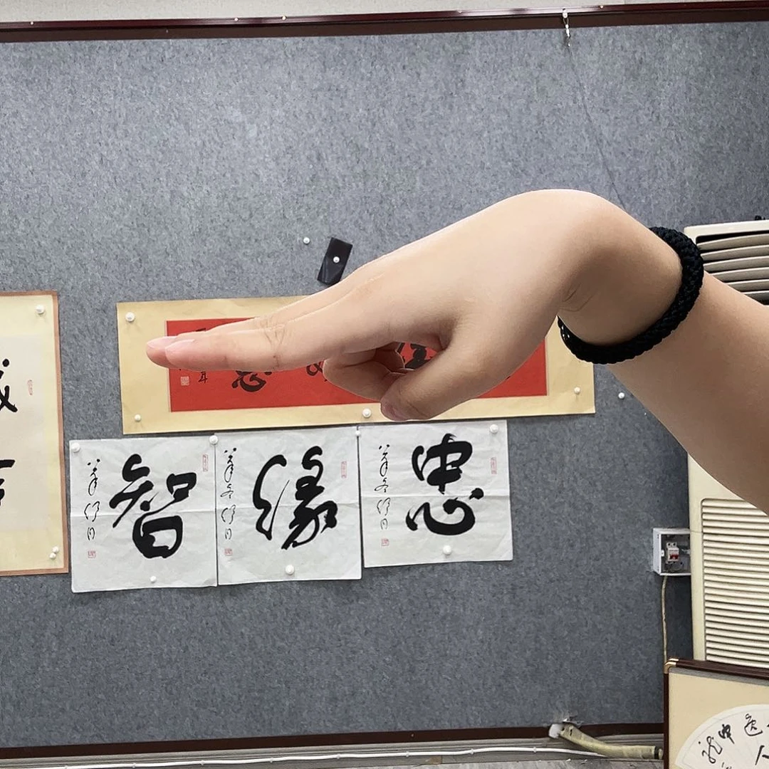 风***说书法书法精品一副