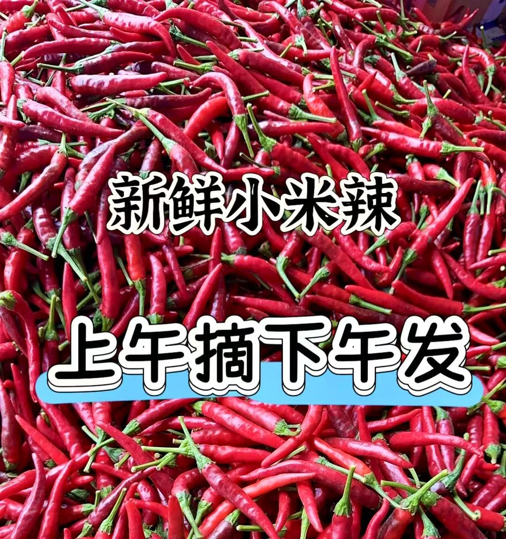 新鲜小米椒特辣小米辣鲜椒朝天椒红辣椒指天椒泡椒红辣椒产地直发