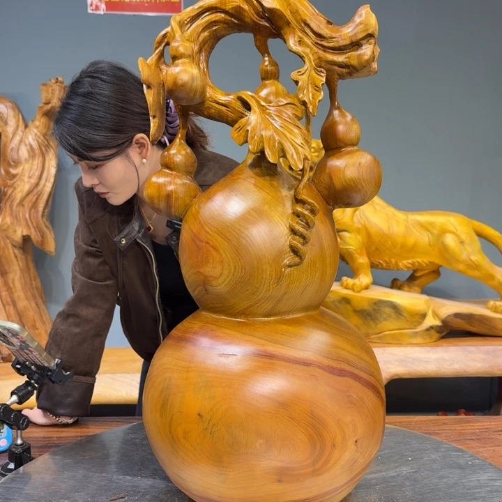 石***叶香樟木长88888888888888