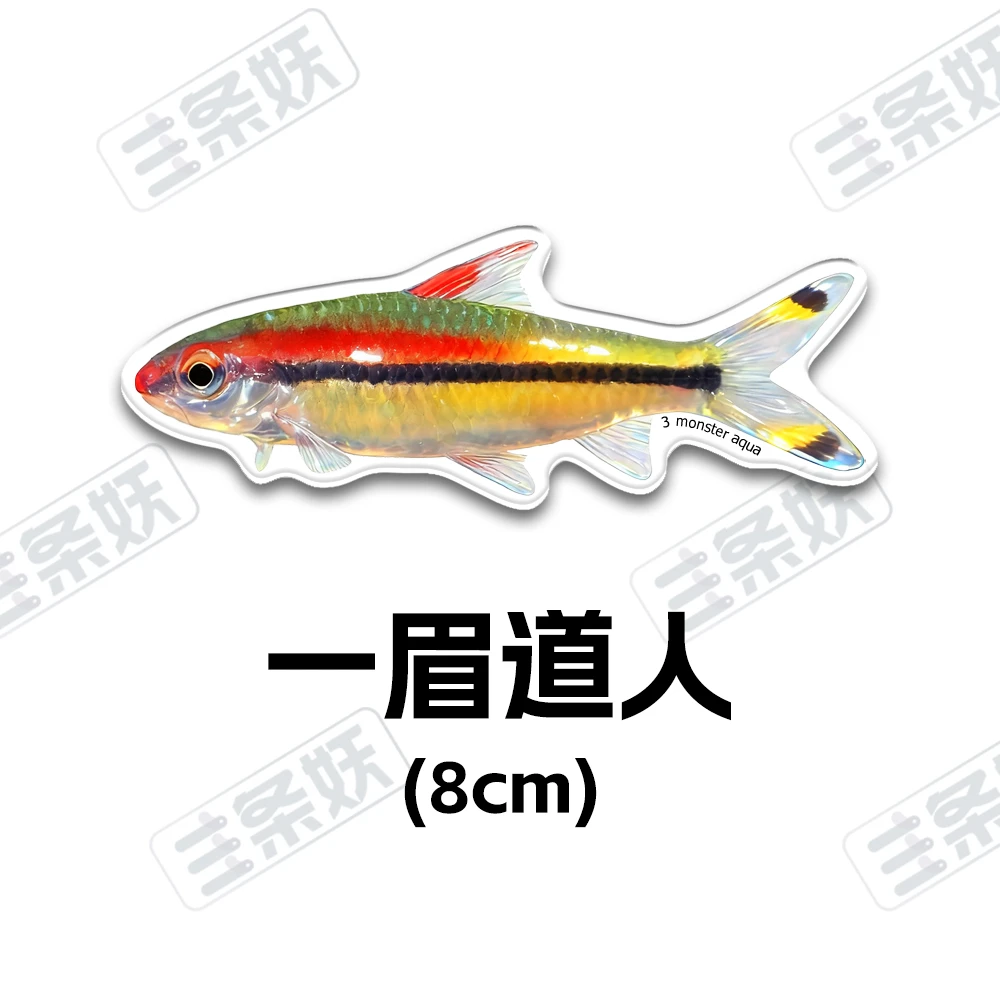 热带灯鱼亚克力冰箱鱼缸贴福袋