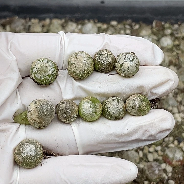 764兔兔我我我我我我我我