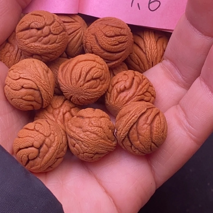 秦岭龙纹桃核12颗