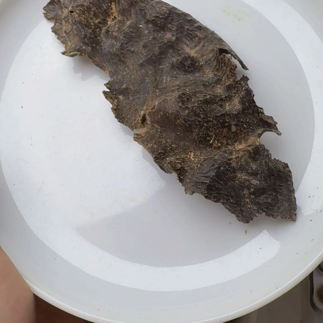 灰***弟沉香碎屑沉香海南沉香铁顶9.1克