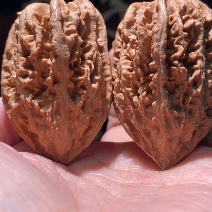 木质类聚核财婉楸35