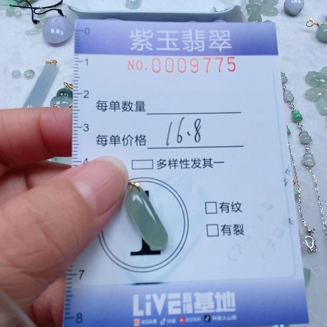 翡翠未镶嵌颈饰冰透随行