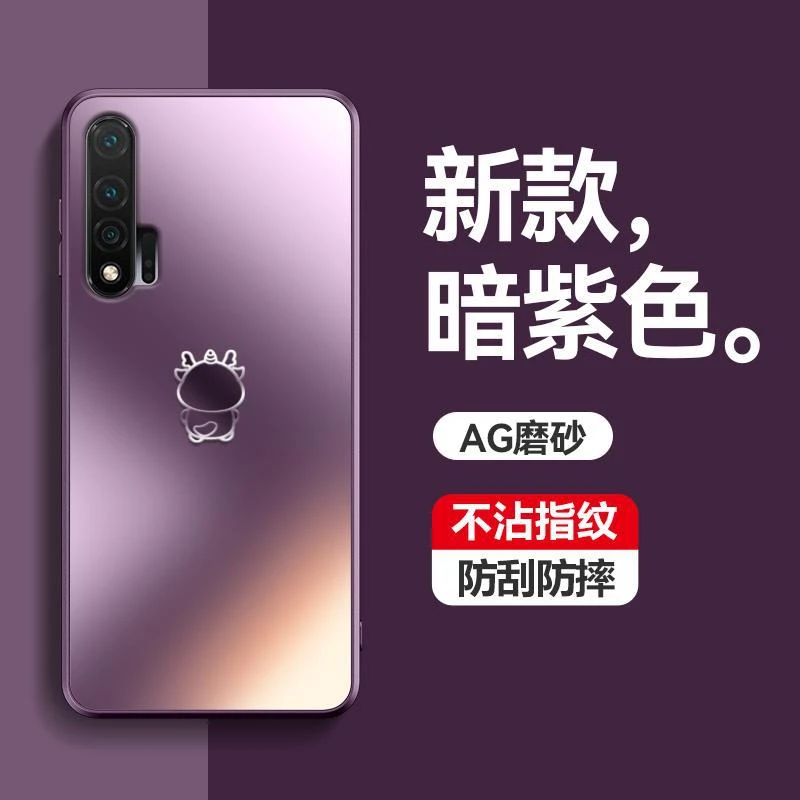 适用于华为nova65G手机壳防指纹防静电龙宝宝防摔保护套简约磨砂