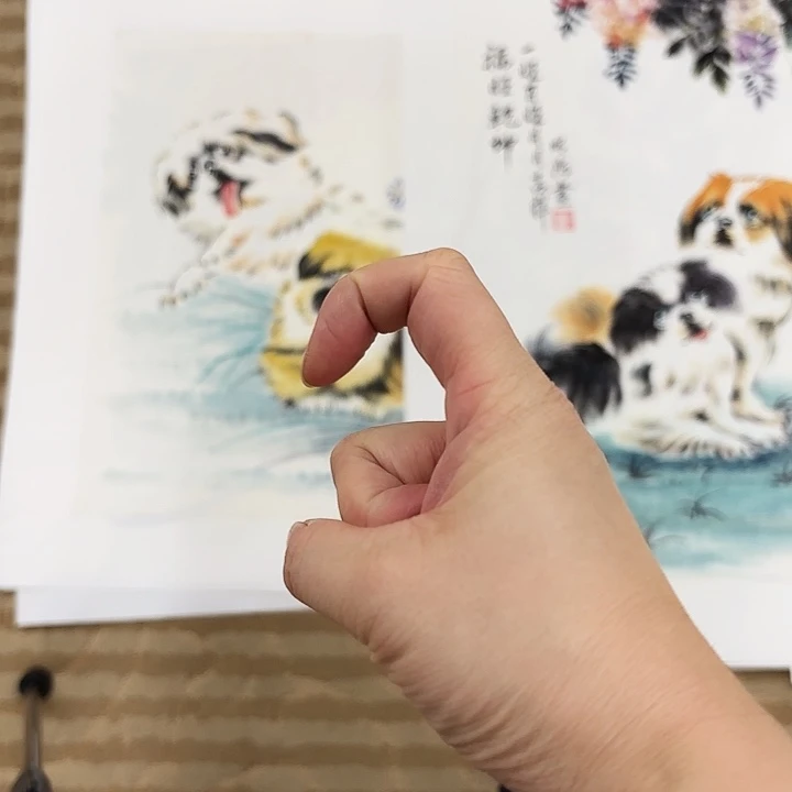 新***藏国画花鸟的翅膀和翅膀是