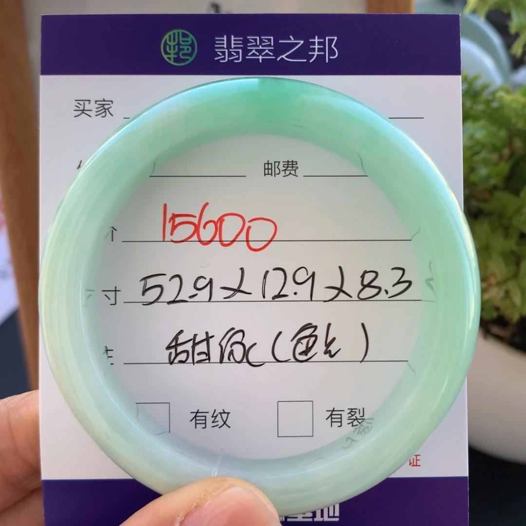 翡翠未镶嵌手镯翡翠手镯52-53