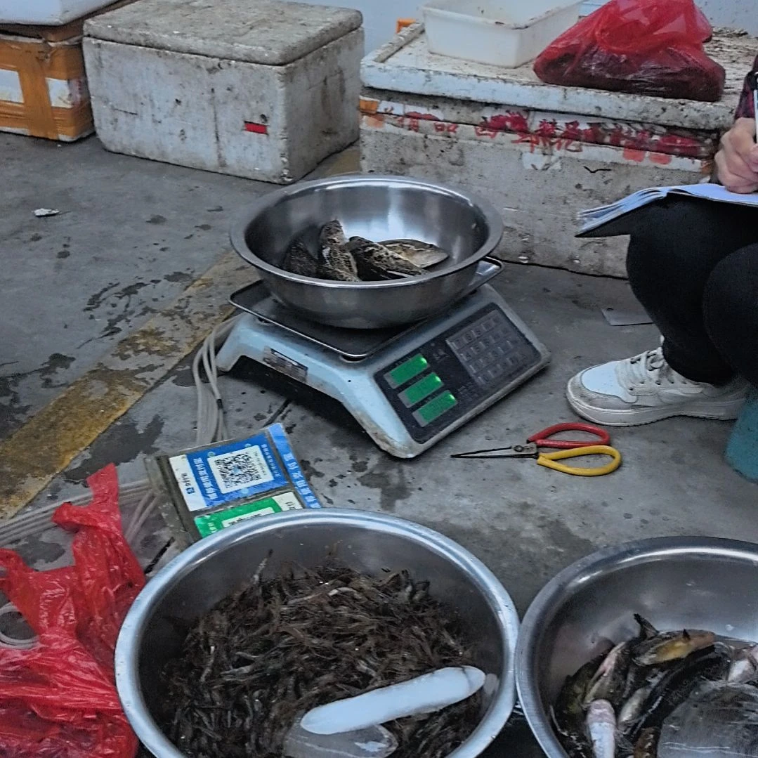 石台小李代购桂鱼2.1斤