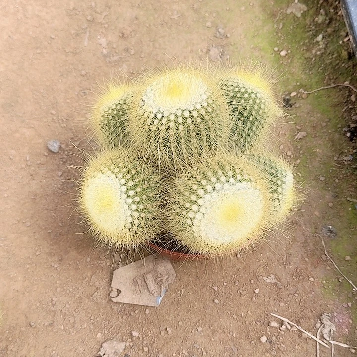 若***昏哈哈哈哈哈哈哈哈哈哈哈