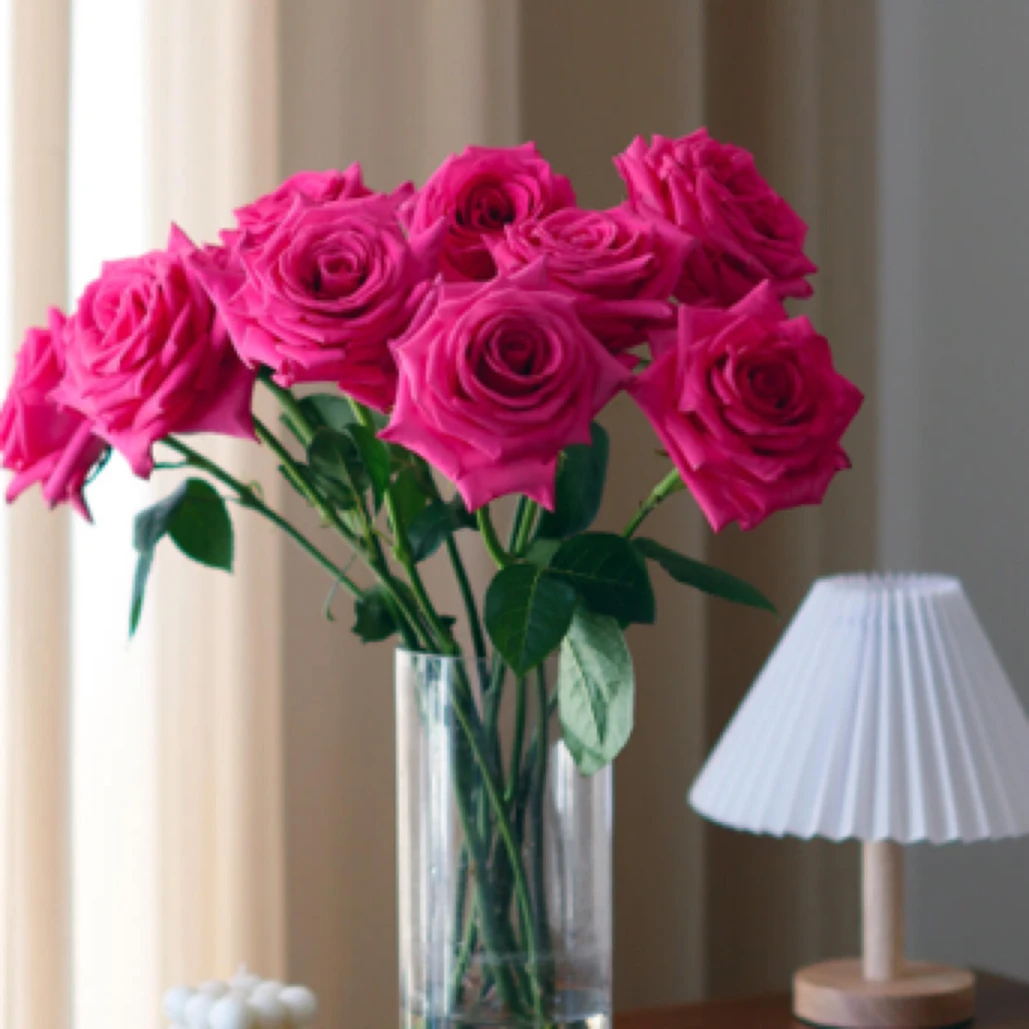 佛洛依德玫瑰 常州新北区汉江路同城配送