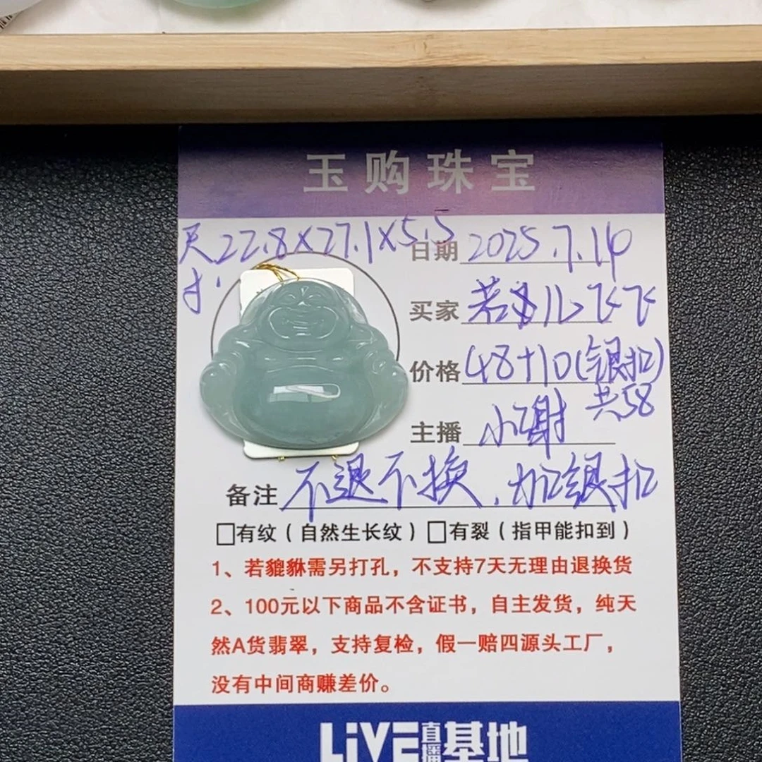 翡翠银S925镶嵌颈饰若**飞