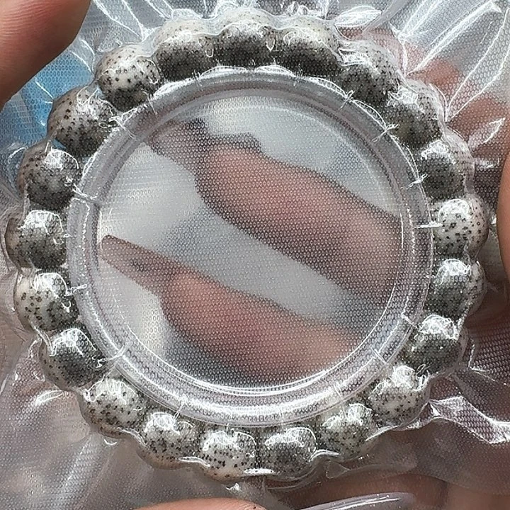 星月菩提手串502高端卡姿兰大眼睛星月菩提11桶单圈