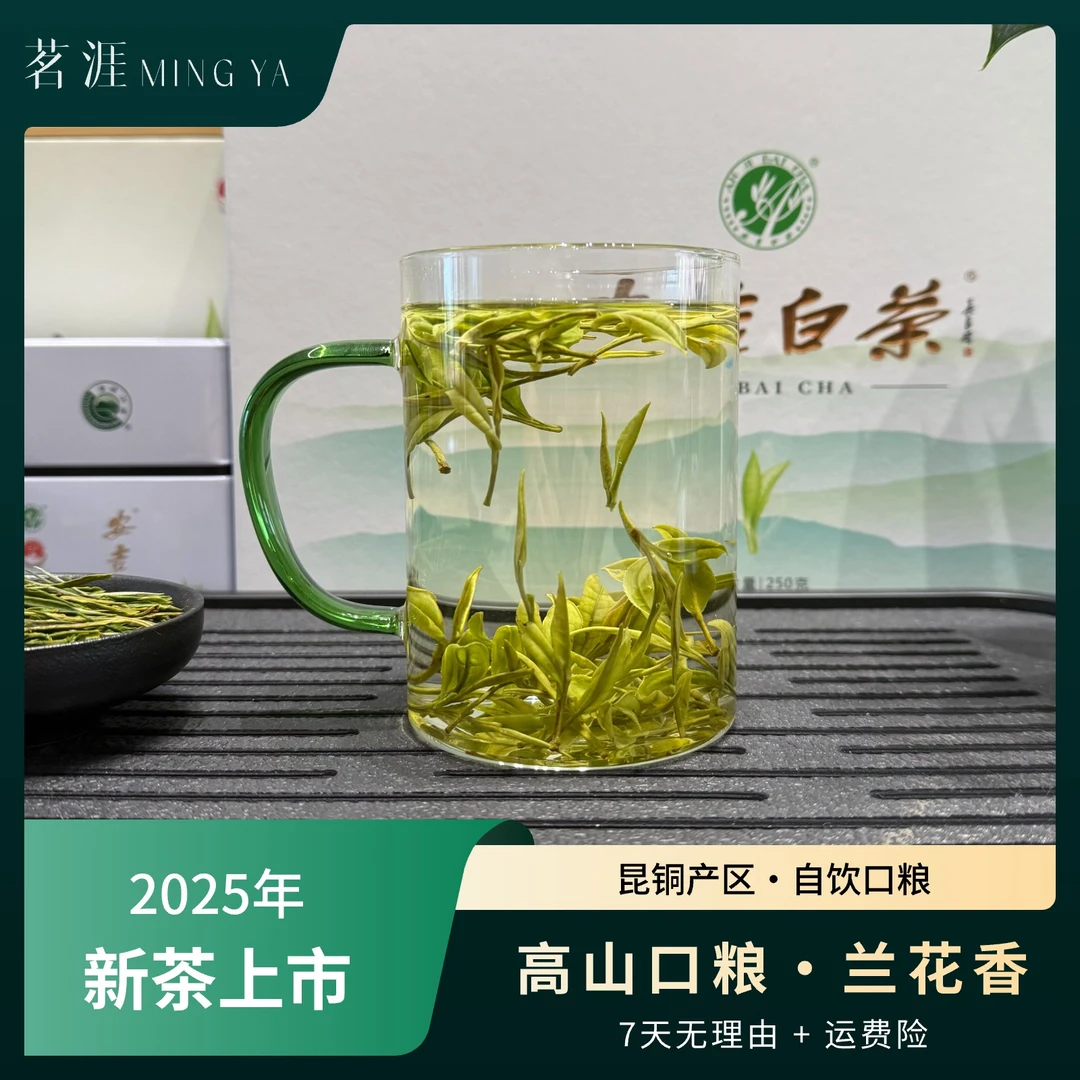 茗涯【M1·高山口粮】2025春茶安吉昆铜核心产区自家高山白茶阳山