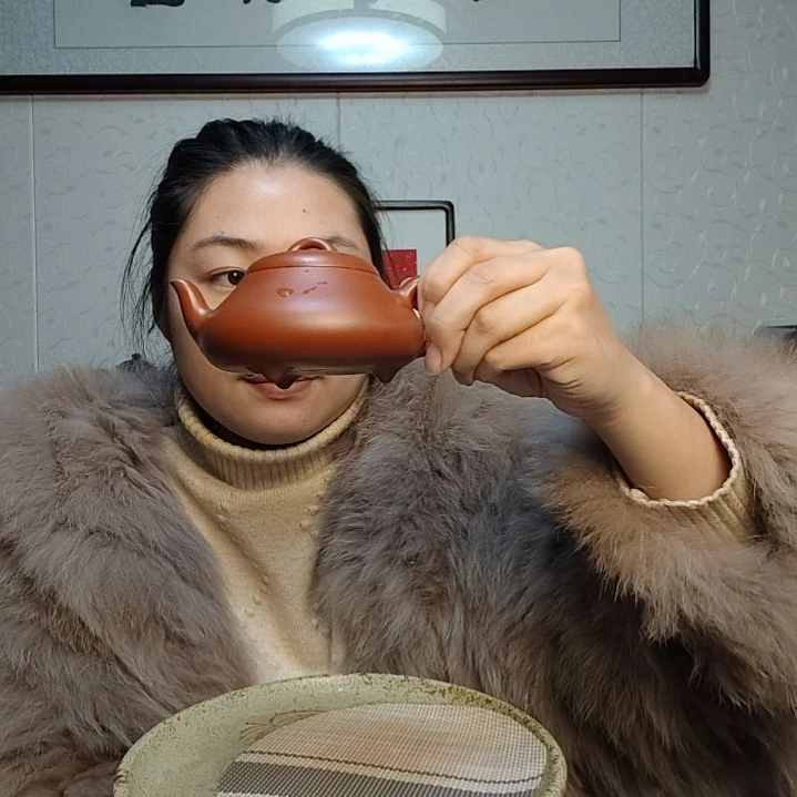 茶壶朱泥汉棠石瓢大红袍200毫升