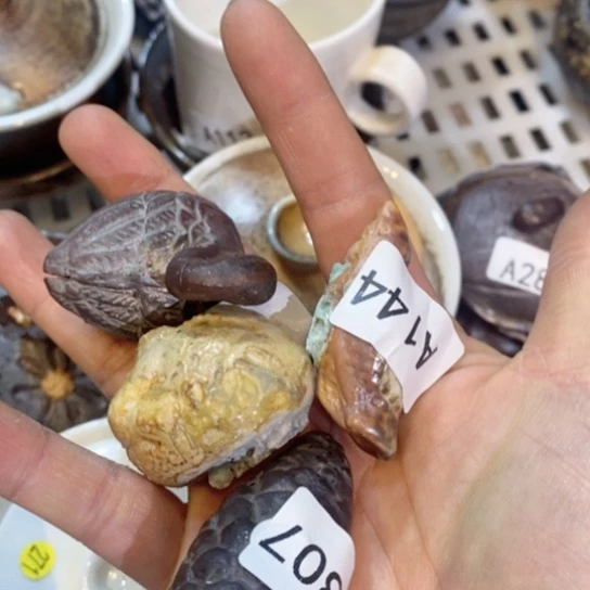 福利多多啊哈哈哈哈哈