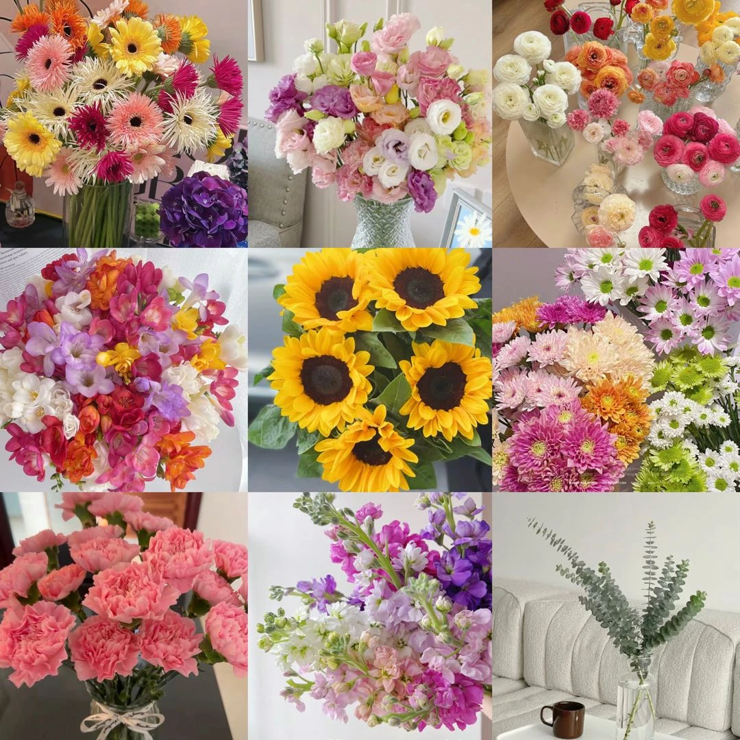 【盼盼鲜花】不选品鲜花四件套 不支持凑单 单独发货 云南基地直发