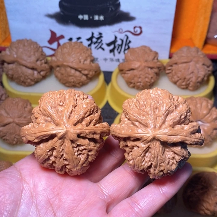 文玩核桃把件粗筋 49 48